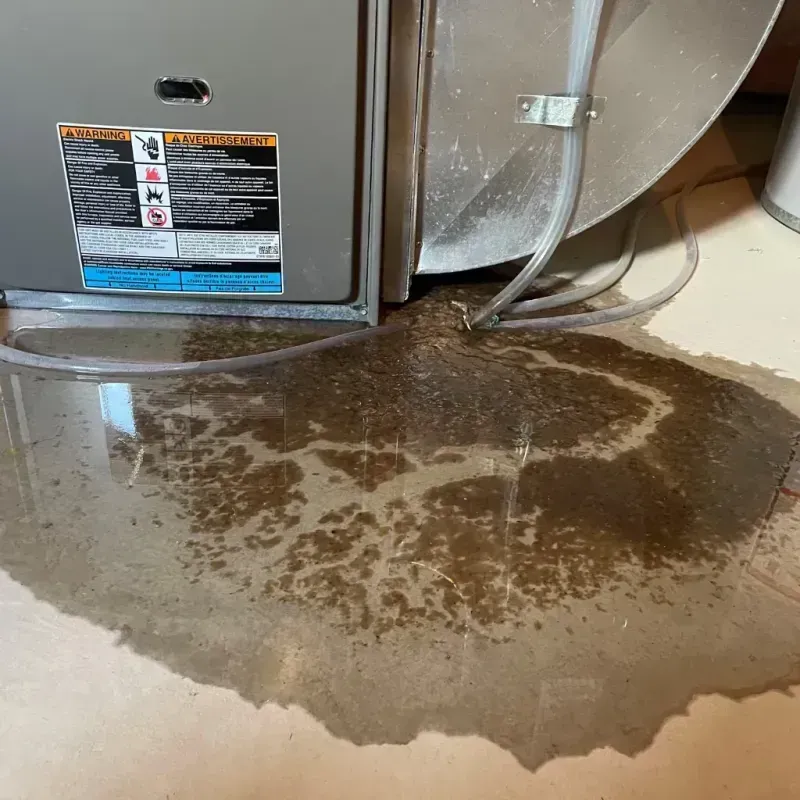 Appliance Leak Cleanup in Nedrow, NY